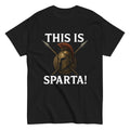 this is sparta shirt