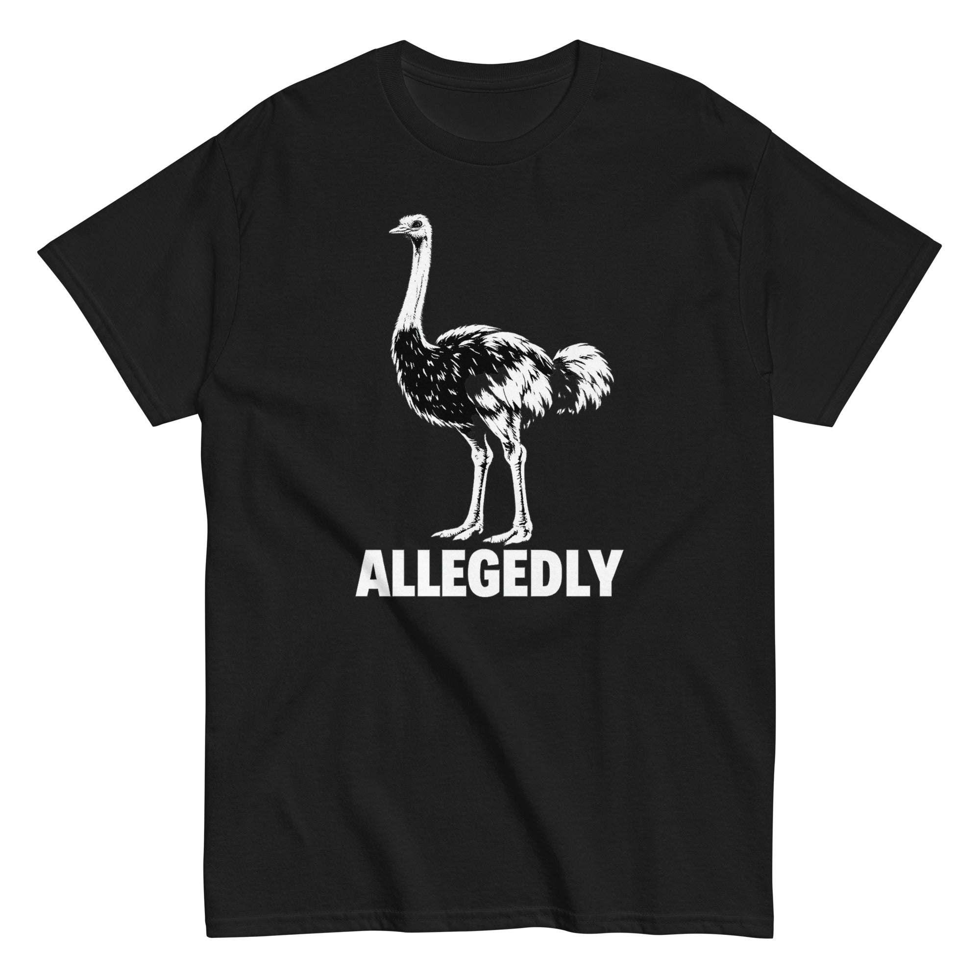 allegedly letterkenny shirt