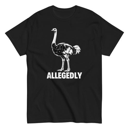 allegedly letterkenny shirt